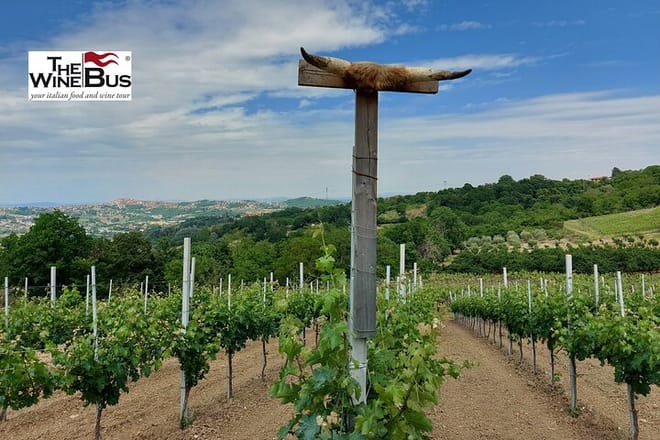 Private Irpinia Wine Tour from NAPLES with Sommelier - Photo 4