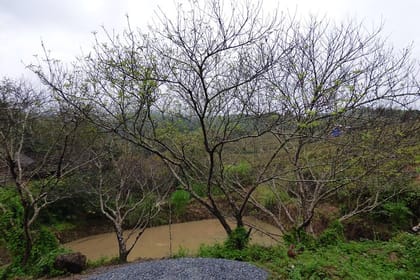 Hanoi – Mai chau Adventure 2 Days 1 Night sleep at bungalow -packaged tour