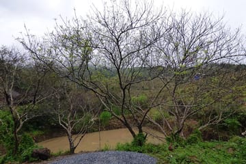Hanoi to Mai Chau 2-Day Adventure with Bungalow Stay