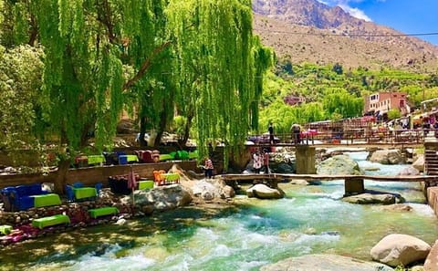 Small Group Day Trip to Atlas Mountains and Ourika Valley from Marrakech