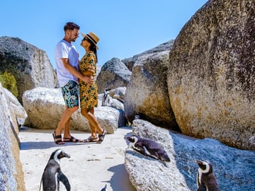 Cape Town & Surroundings: A September 2027 Experience