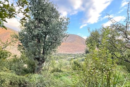 Journeying Through the Atlas and Explore the Three Valleys