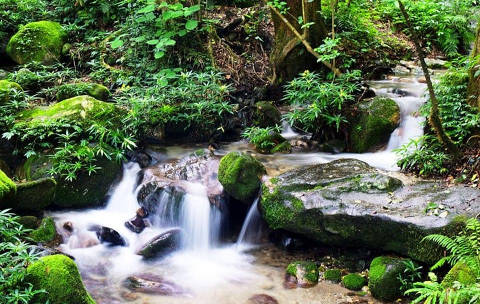 Hiking experience from Shivapuri to Nagi Gumba to Baghdwar