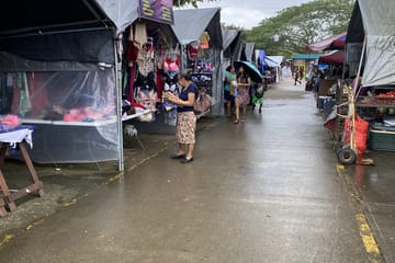 Mennonite Community Tour and San Ignacio Market Visit in Toledo