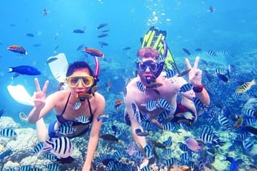 Snorkeling Adventure in Ras Mohammed National Park, Sharm El Sheikh