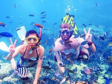 Snorkeling Adventure in Ras Mohammed National Park, Sharm El Sheikh