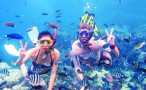 Snorkeling Adventure in Ras Mohammed National Park, Sharm El Sheikh