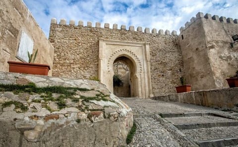 Private Luxury Tour of Tangier and Asilah from Tarifa