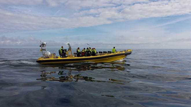 Two Hour Ribsafari Adventure Trip