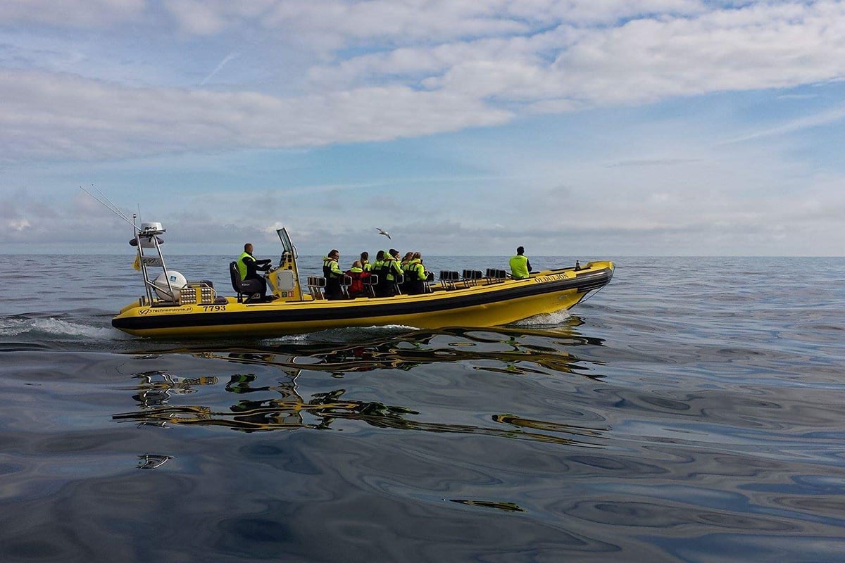 2-Hour RIB Boat Tour, Iceland