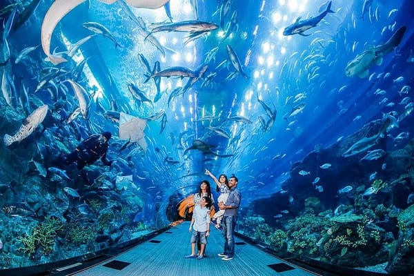 VIP Dubai Aquarium