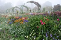 Private Full day Trip to Giverny from Paris with hotel Pick up  5