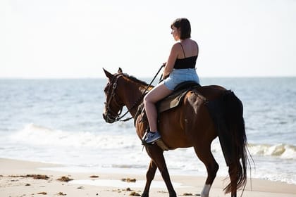 Horse Riding on the beach With Transfer From Sharm El Sheikh
