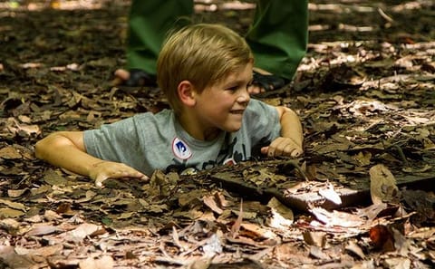 Cu Chi Tunnels Half-Day Cultural Tour from Ho Chi Minh City