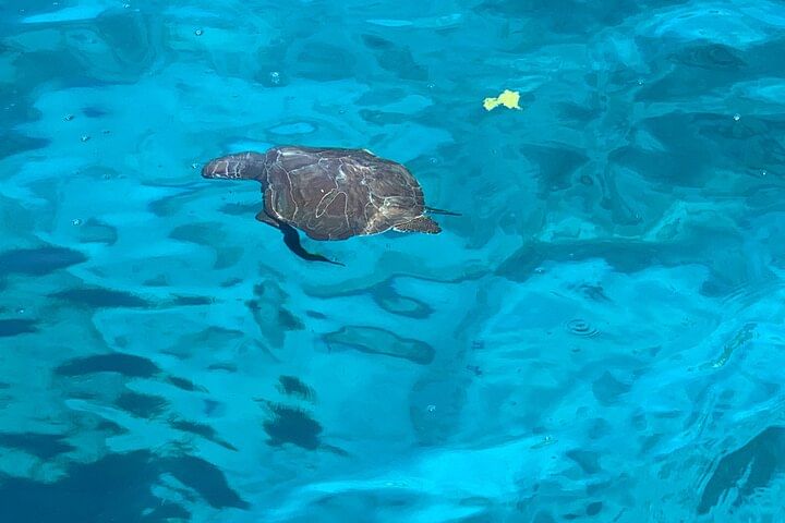 SUNSHINE ADULTS 16+ LUXURY YACHT - from Protaras - HUGE slide - BBQ lunch & 1 drink