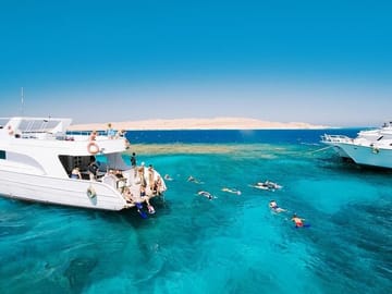 Swim with Dolphins and Snorkel at Satayeh Reef from Cairo
