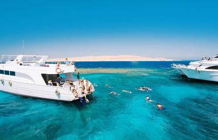 Swim With Dolphin in Dolphin House Satayeh Reef Snorkeling Sea Trip