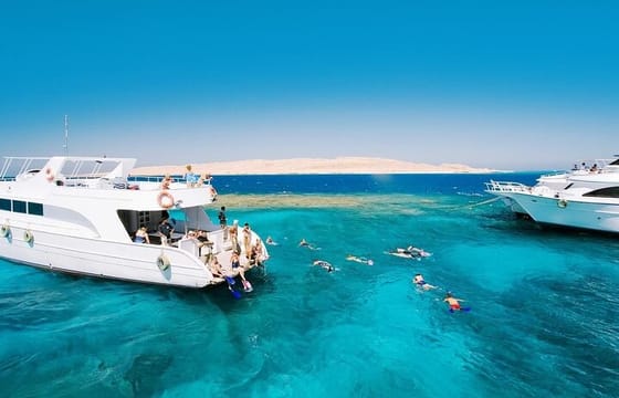 Swim With Dolphin in Dolphin House Satayeh Reef Snorkeling Sea Trip