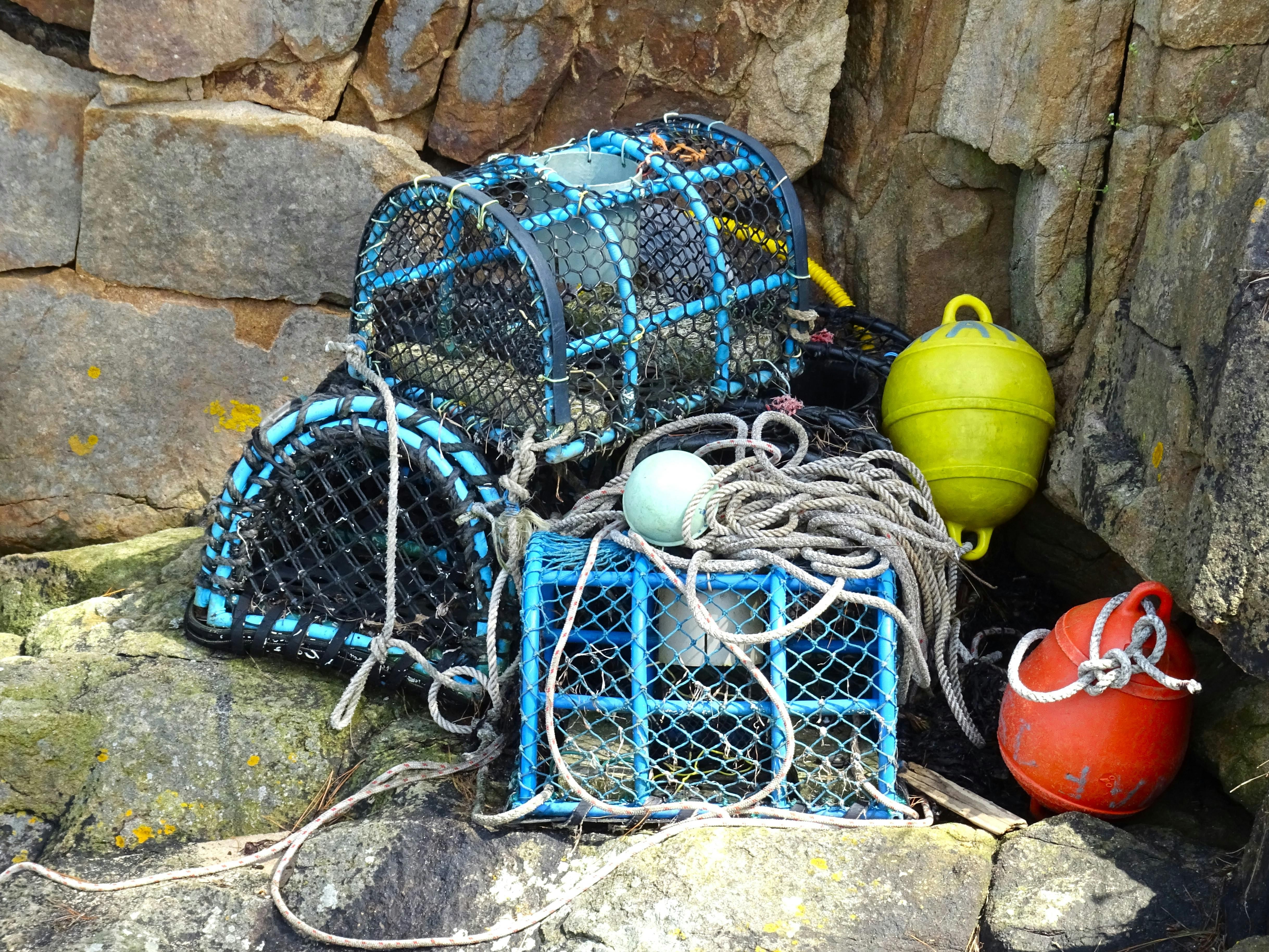 pexels/capricorn sound