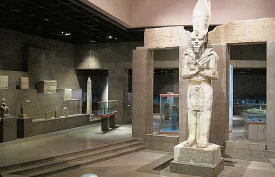 Nubian Museum With Philae Temple Private Tour
