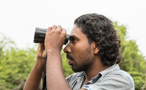 22-Day Nature and Culture Tour of Sri Lanka: Colombo, Kandy, Bentota