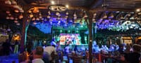 Bulgarian Dinner with Show from Nessebar and Sunny Beach 1
