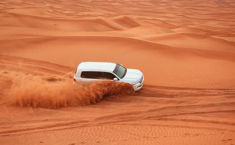 Ras al-Khaimah Desert Safari with Camel Ride and BBQ Dinner
