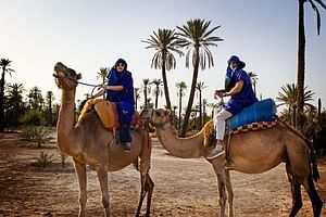 Sunset Camel Riding in the Palm Grove of Marrakech with pickup-drop off