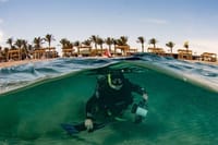 Private Abu Dabbab Snorkeling with Turtles &amp; Transfer - Hurghada