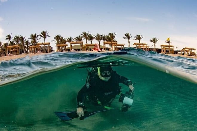 Private Abu Dabbab Snorkeling with Turtles &amp; Transfer - Hurghada