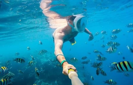 Snorkeling Tour at Sataya Dolphin House in Marsa Alam