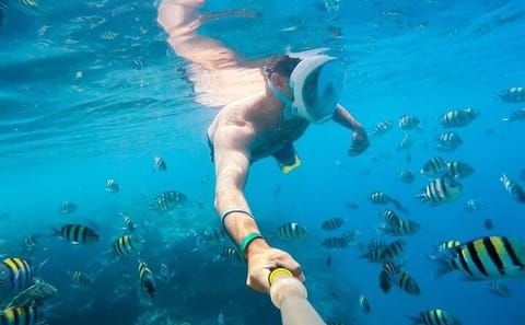 Snorkeling Tour at Sataya Dolphin House in Marsa Alam