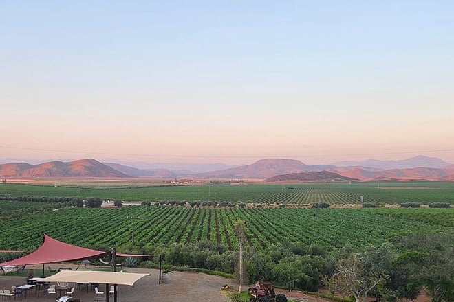Valle de Guadalupe Wine Experience: All Wine Tastings Included