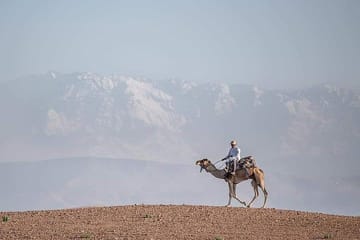 Camel Ride Through Scenic Ourika Valley from Marrakech