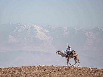 Camel Ride Through Scenic Ourika Valley from Marrakech