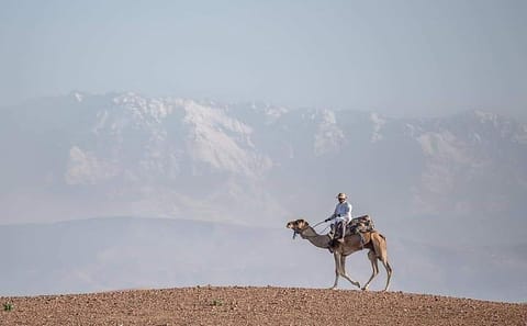 Camel Ride Through Scenic Ourika Valley from Marrakech