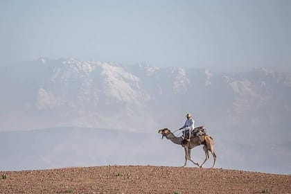 Camel excursion on the road to Ourika from Marrakech