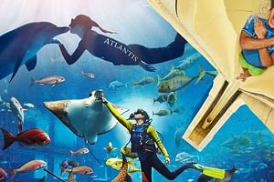  Atlantis Aquaventure and Lost Chambers Combo Tickets