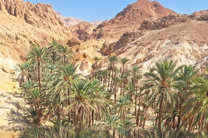 7-Day Guided Tour of Tunisia with accommodation and meals included