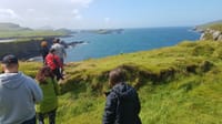Dingle & Slea Head tour departing Killarney. Kerry. Guided.  5