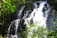 Rincon Volcano Park hike, Oropéndola Waterfall & Hot Springs 10
