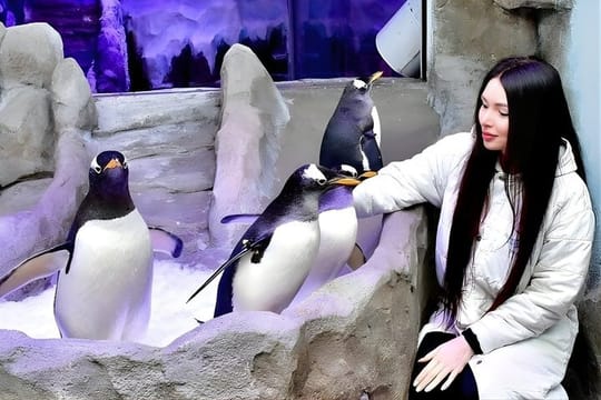 Dubai Aquarium Underwater Zoo with Penguin Cove Entry Tickets