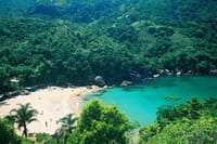 Visit the Traditional Ponta Negra Community - BY PARATY TOURS 6
