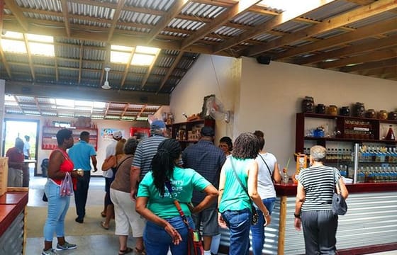 Roatan Sightseeing to the Chocolate, Cameo, Cigars & Rum Factories