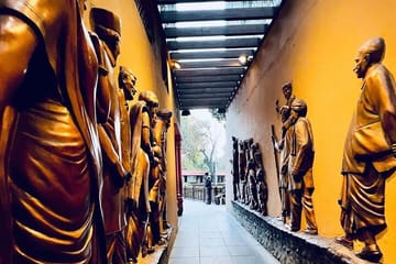 Amritsar’s Golden Bliss and Border Spectacle Private Tour