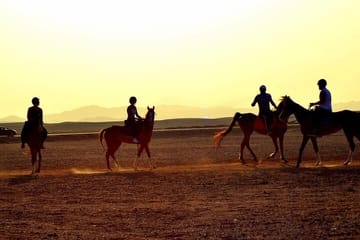 Arabian Horseback Desert and Sea