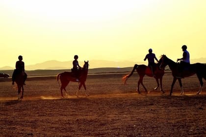 Arabian Horseback Desert and Sea