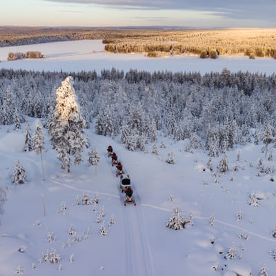 Sähkömoottorikelkkasafari Rovaniemellä - Image 18