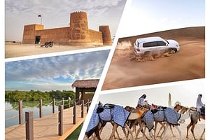 Combo Culture North Qatar and Desert Safari Tour