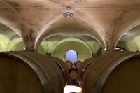 Private scenic transfer from Venice to Florence and vice versa 5